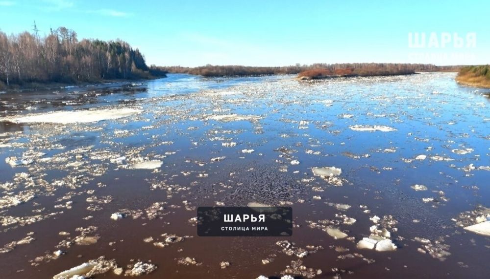 На реке Ветлуга идет активный подъем воды — Шарья