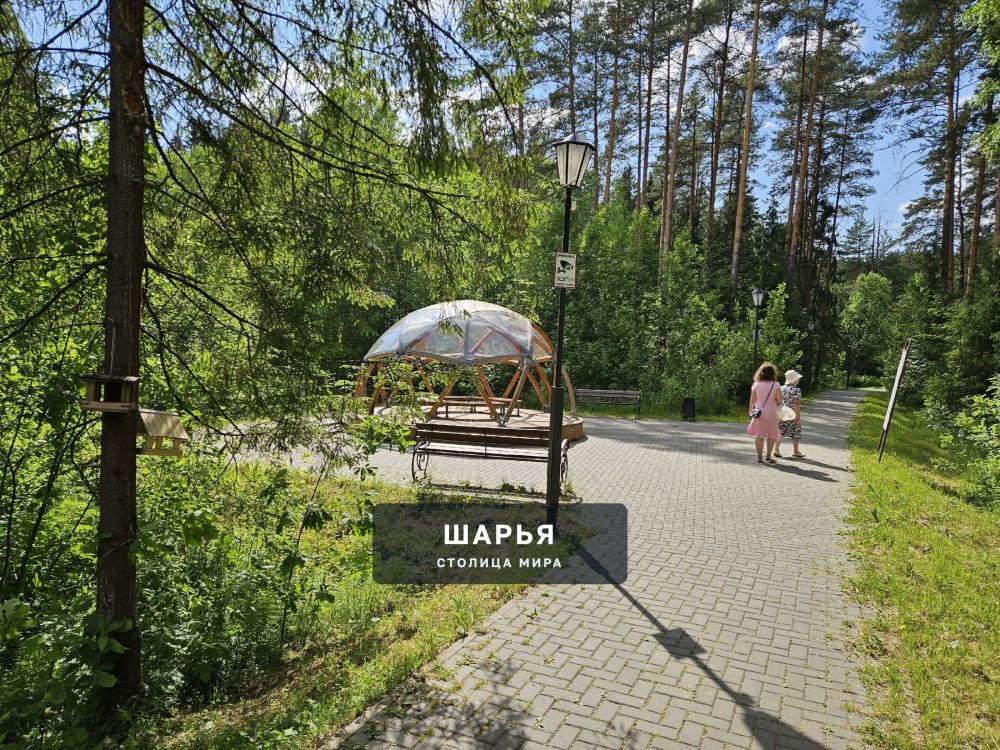 Купол беседка в парке. Шарья