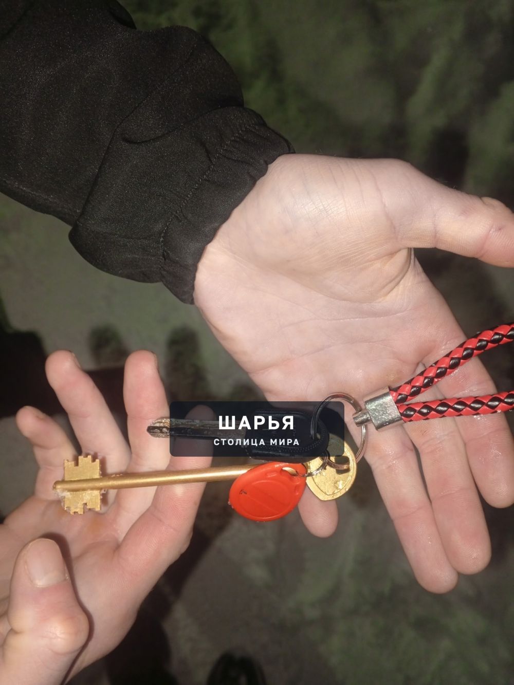Потеряно в парке, 89108016258, звоните отдам — Шарья