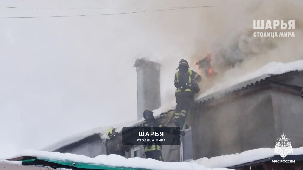 Жертв в пожарах на территории области нет — Шарья