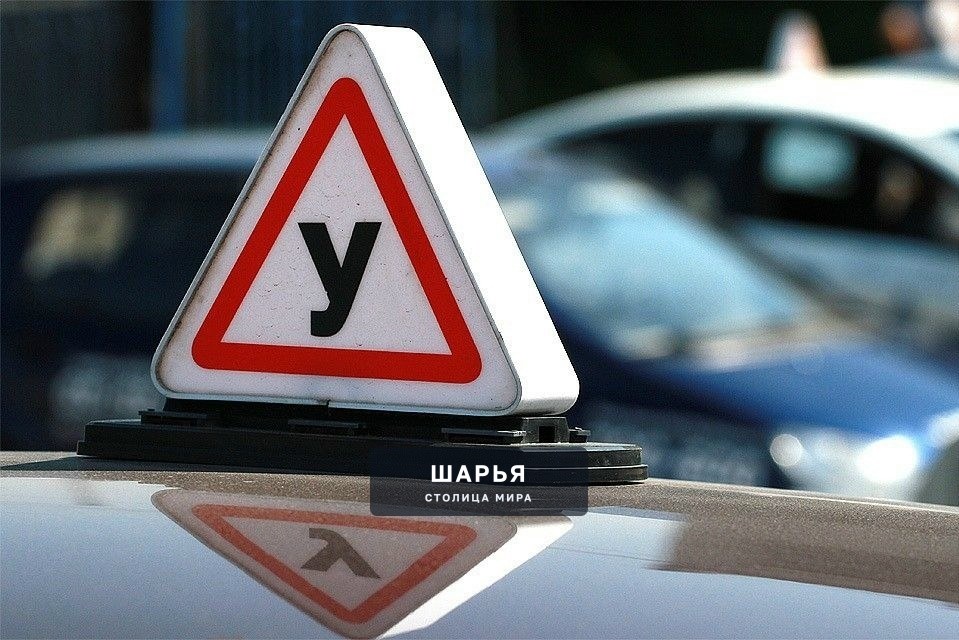 Новые рейтинги автошкол: провалы на экзаменах и аварии выпускников — Шарья