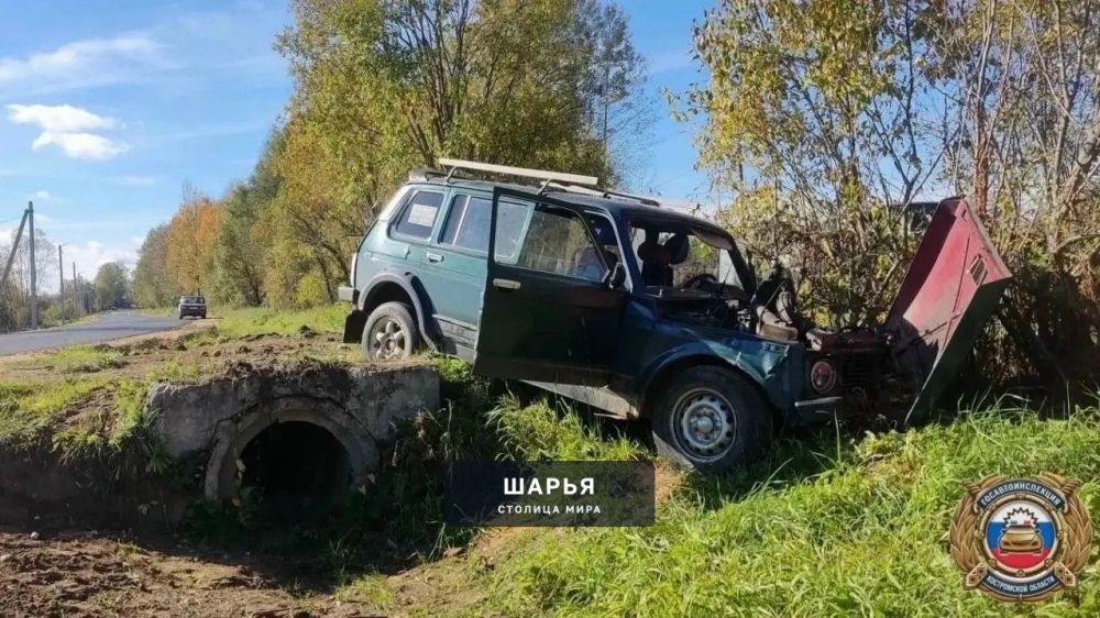 В Мантуровском районе пьяный водитель съехал в кювет — Шарья