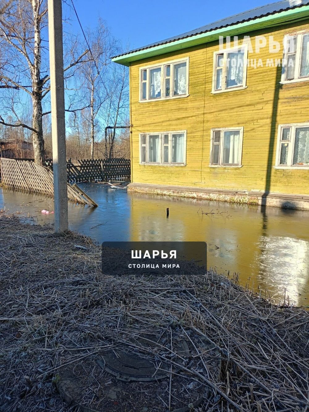 Ловись рыбка большая и еще больше! — Шарья — фото 2