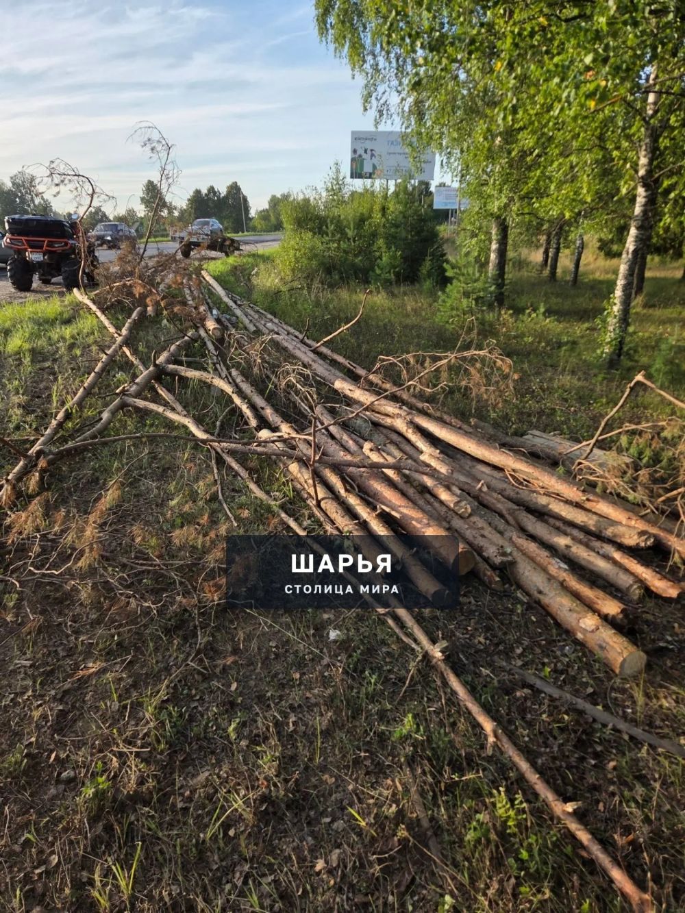 Шесть сознательных шарьинцев приняли участие в субботнике в Козлово — Шарья — фото 3