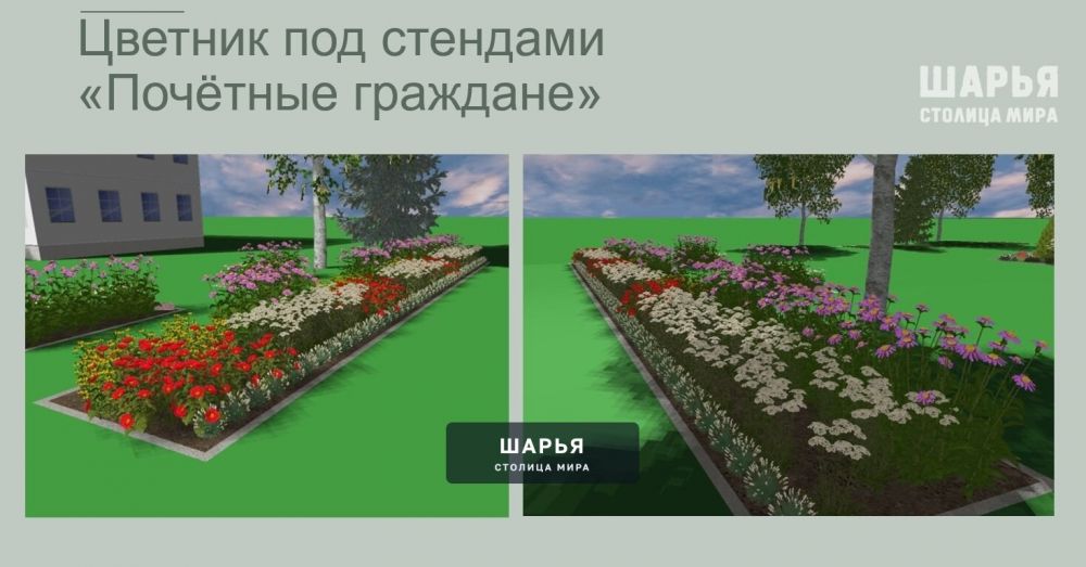 Городская власть предлагает шарьинцам посадить их цветы на общественных клумбах — Шарья — фото 3