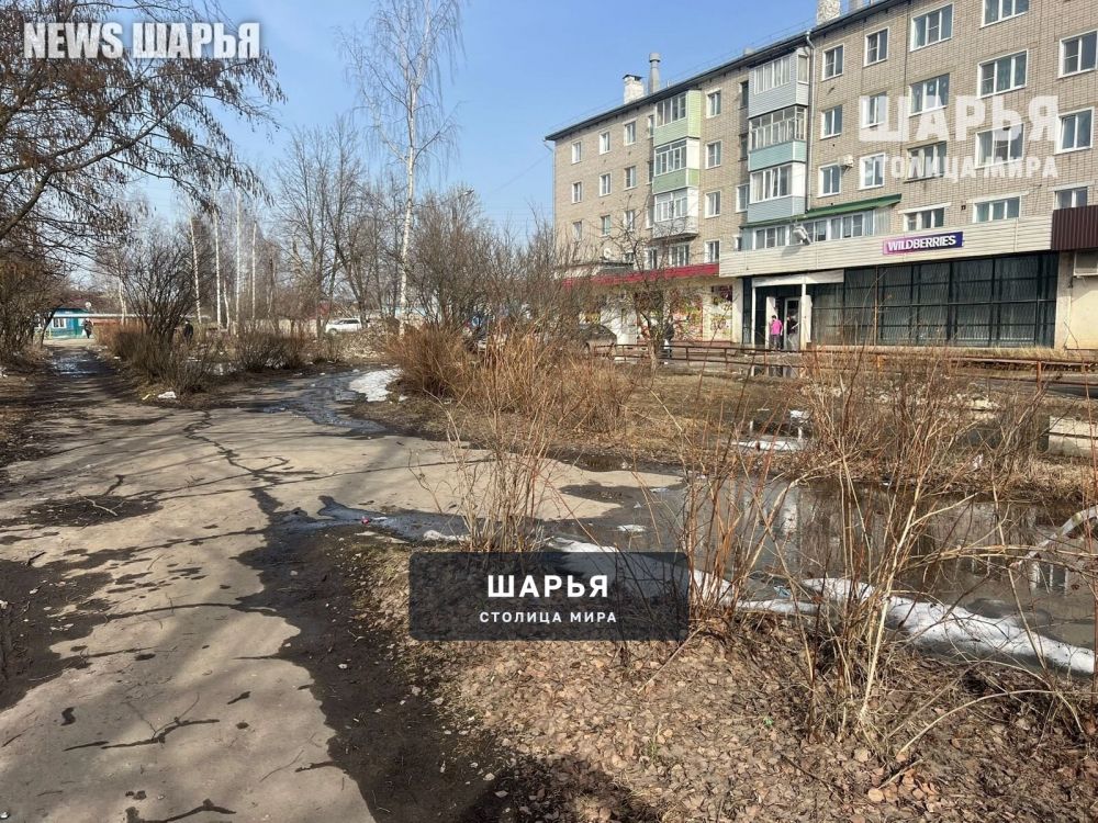 "Морской" сквер в Шарье начал обретать свой окончательный вид — Шарья — фото 2