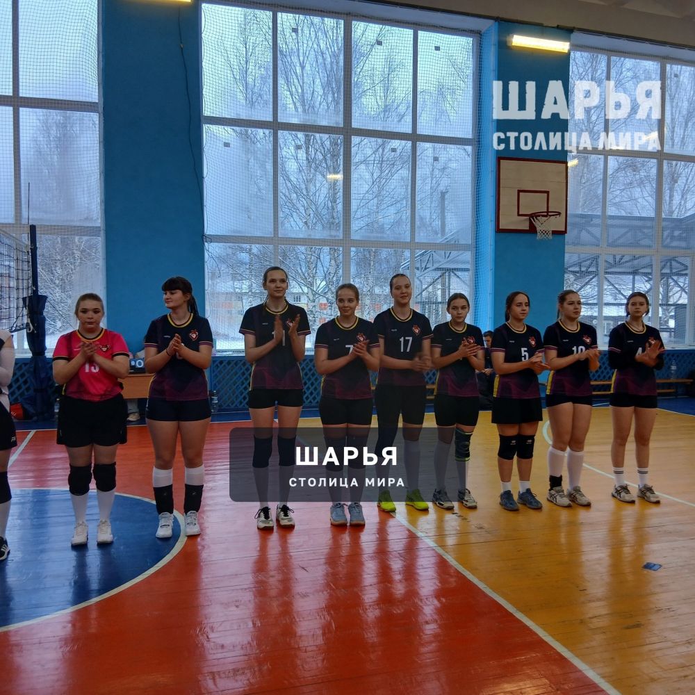 В минувшие выодные разыграли Кубок Шарьинского педагогического колледжа по волейболу среди… — Шарья