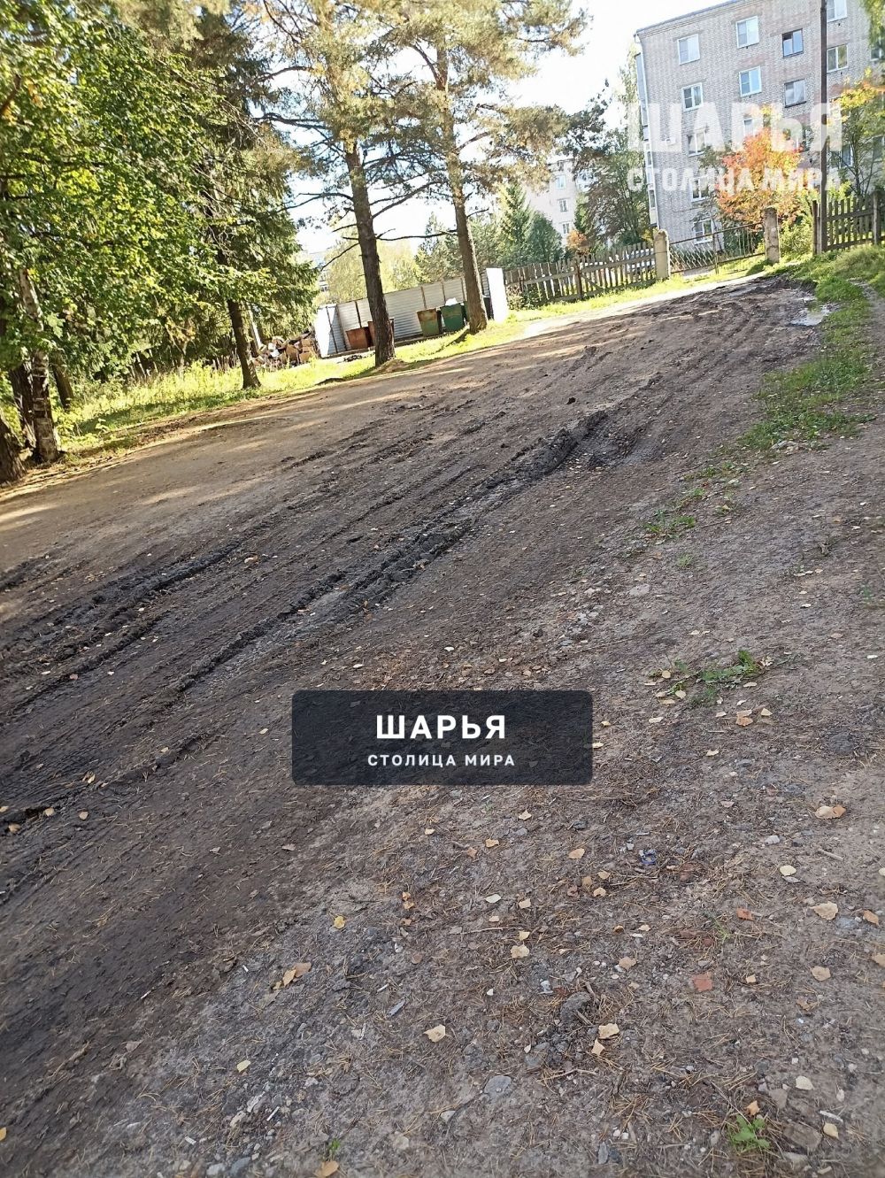 В Шарье без проблем даже в последний путь невозможно проводить — Шарья — фото 3