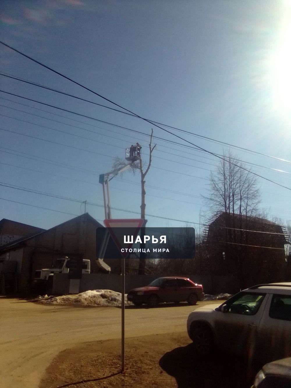 Публикация «Хорошая новость - угроза для ЛЭП устранена» — Шарья — фото 2