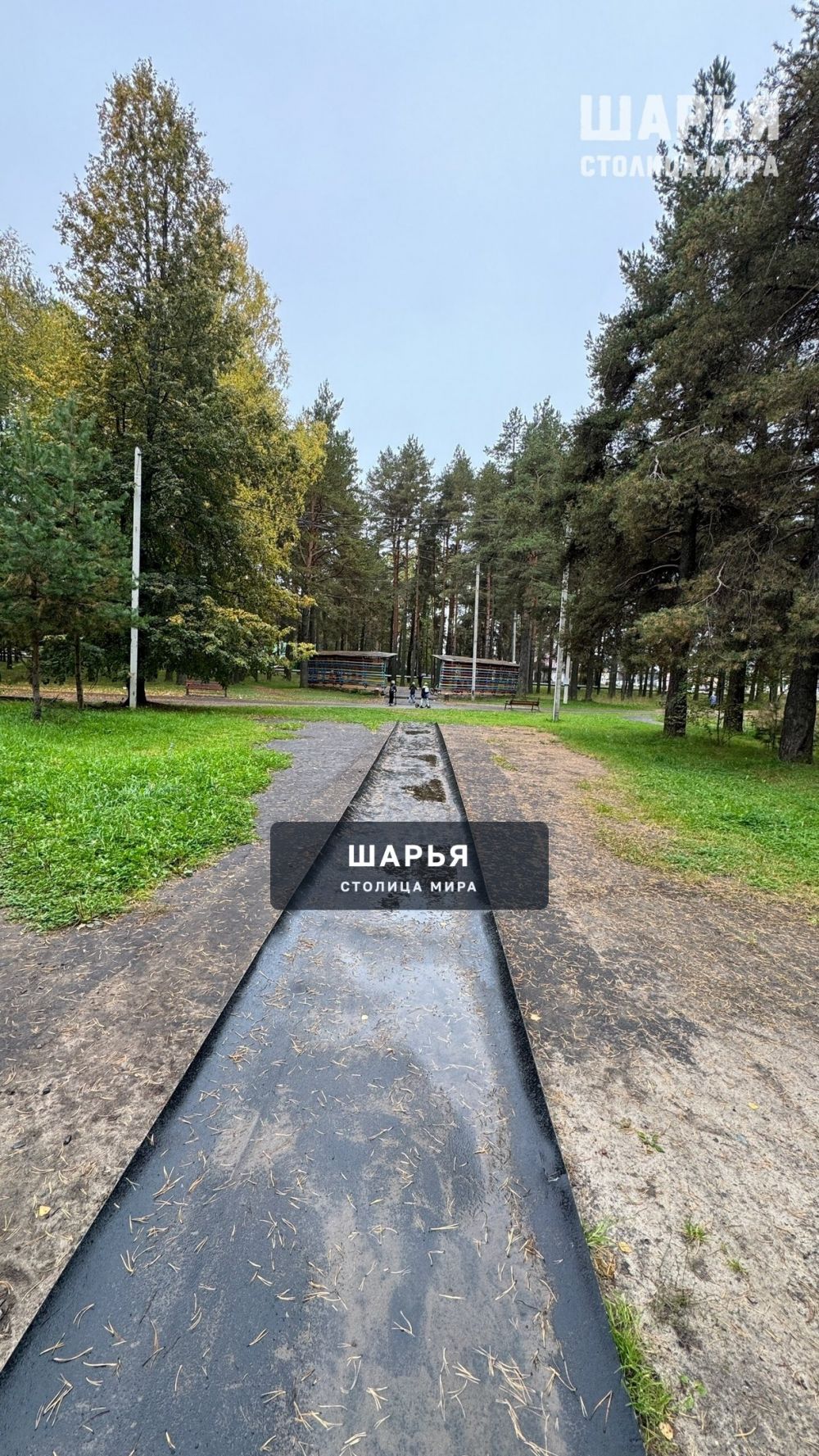 П. Ветлужский — Шарья — фото 2