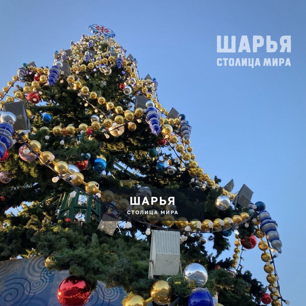 Мотиватор - переходящий Кубок губернатора — Шарья
