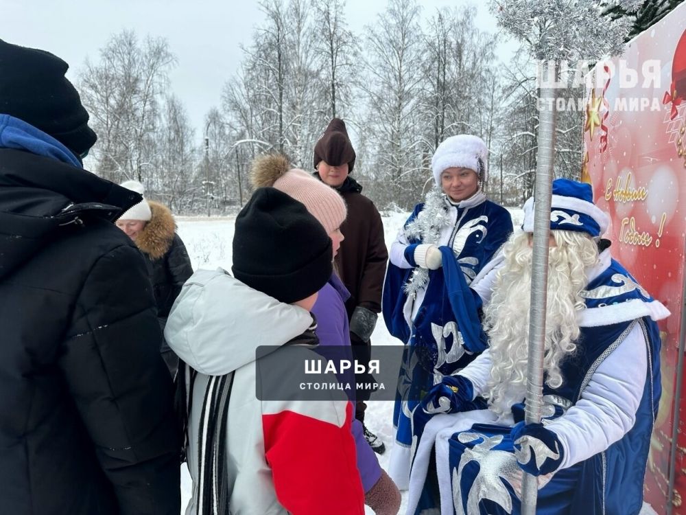 Новогодник елки не заканчиваются — Шарья — фото 3