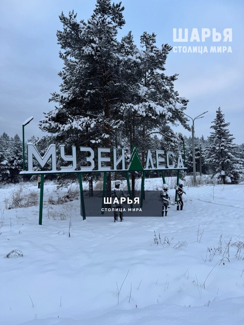 Красота какая в городском парке — Шарья — фото 3