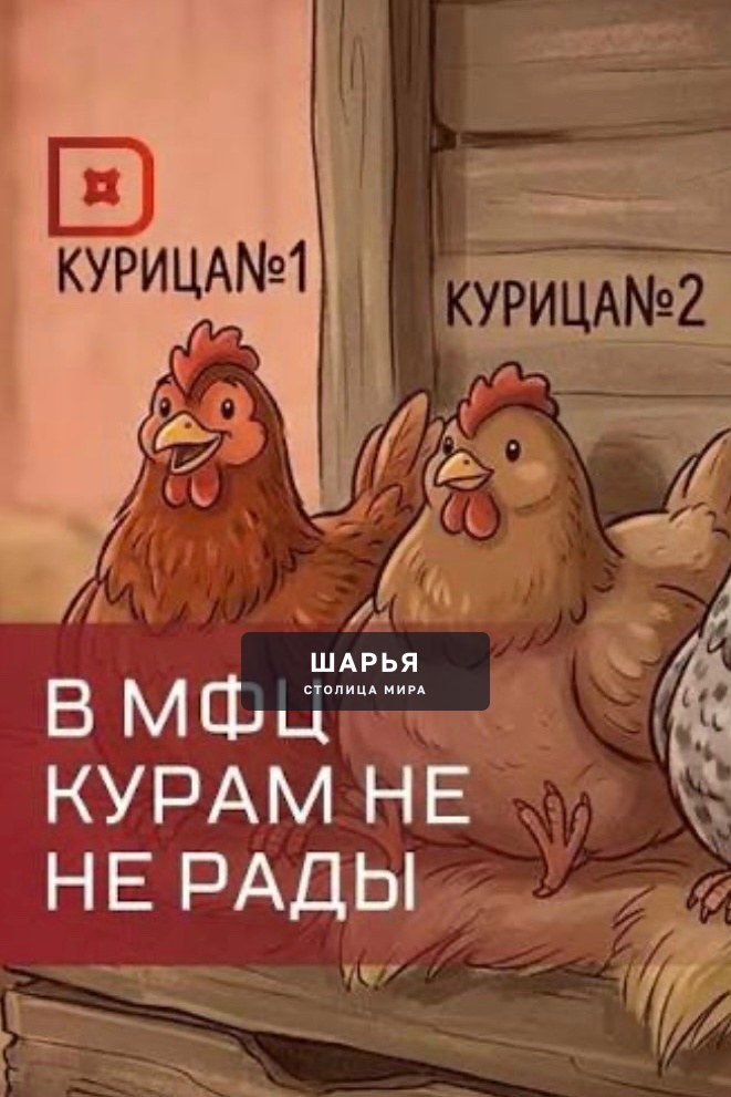 Куры и петухи, разворачивайтесь из МФЦ — обязательную регистрацию домашней птицы хотят… — Шарья