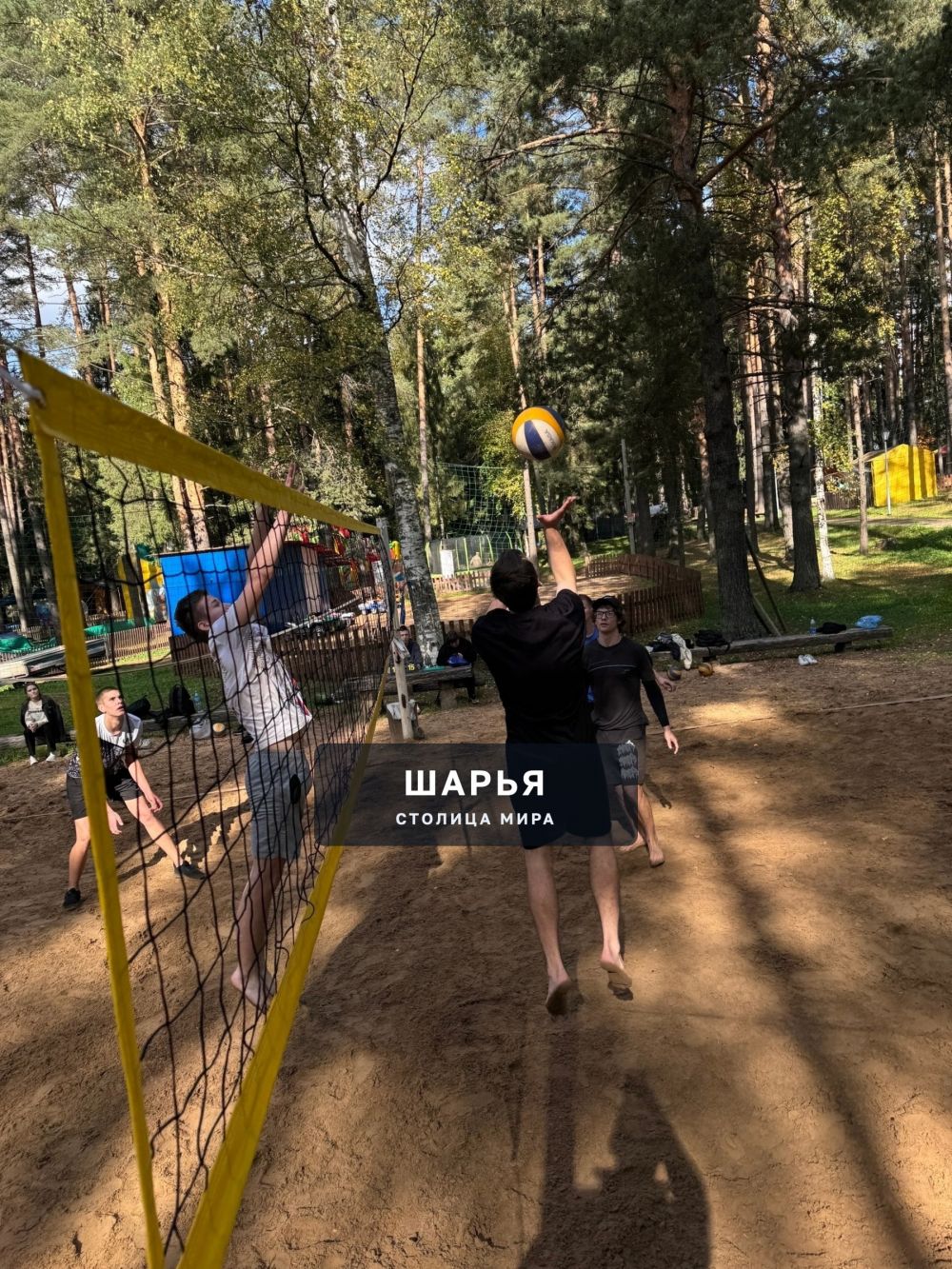 В Шарье отметили День леса волейбольным турниром — Шарья — фото 8