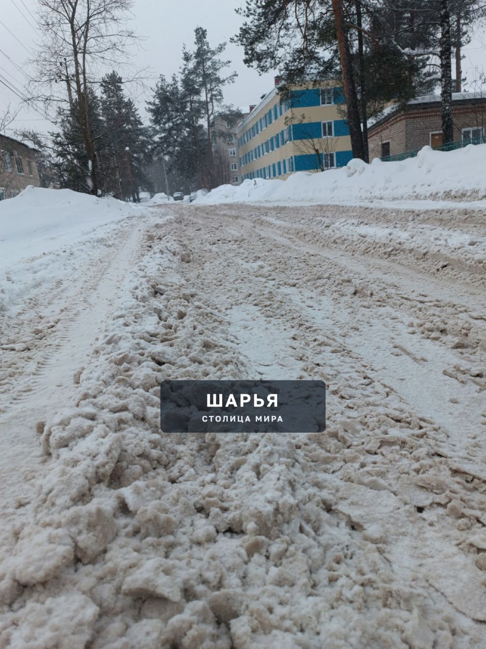 Уберите уже улицу Энтузиастов! — Шарья — фото 6