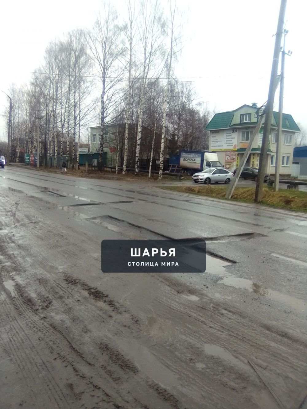 Публикация «Дорожные вредители» — Шарья — фото 5