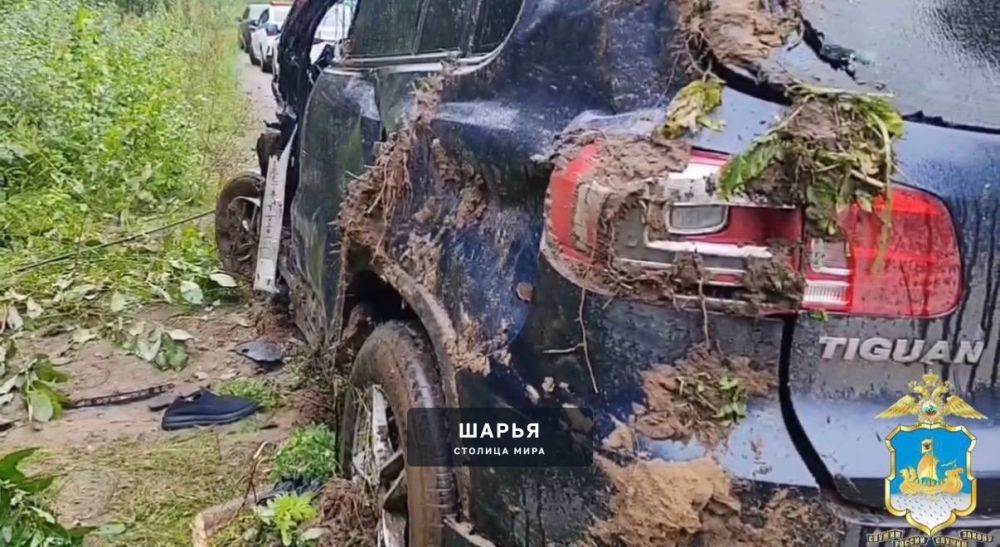 ‼Смертельная авария с участием Шарьинца в Костромской области — Шарья — фото 2
