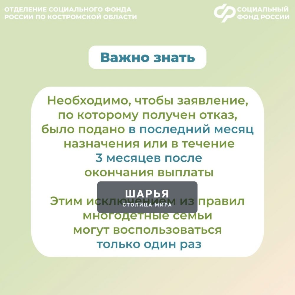 Региональное Отделение Соцфонда проактивно пересмотрит выплаты единого пособия многодетным… — Шарья — фото 5
