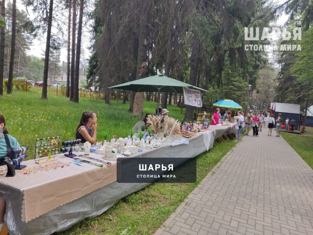 Праздник детства «Улыбок детских негасимый свет» прошел в Городском парке Шарьи — Шарья — фото 6