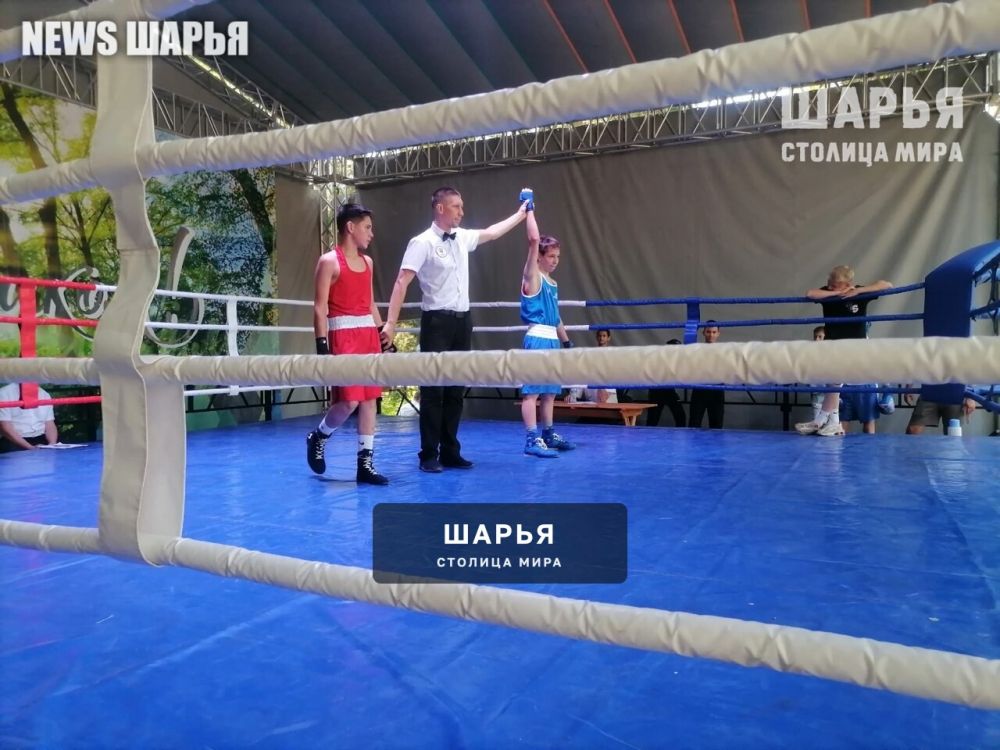 Сегодня заключительный день турнира по боксу в Шарье — Шарья — фото 7