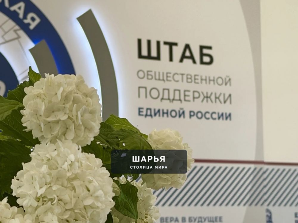 В регионе завершилось предварительное голосование «Единой России» — Шарья — фото 6