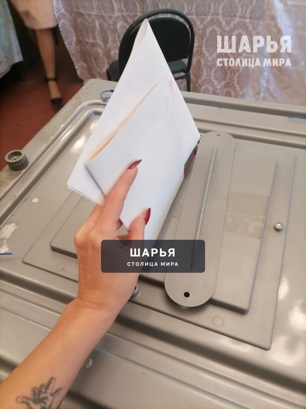 В Шарье стартовали выборы — Шарья