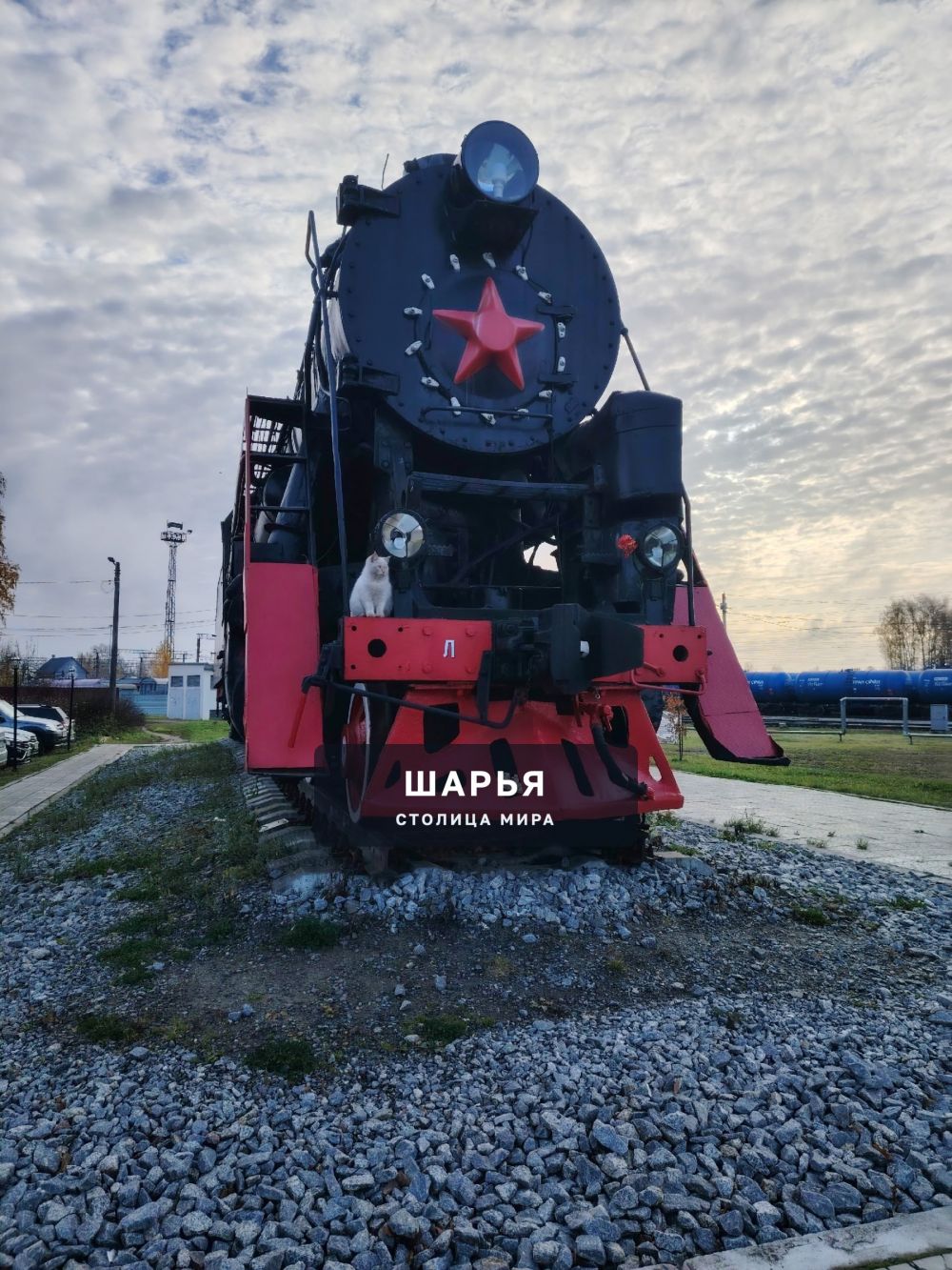 Елена Капустина — Шарья