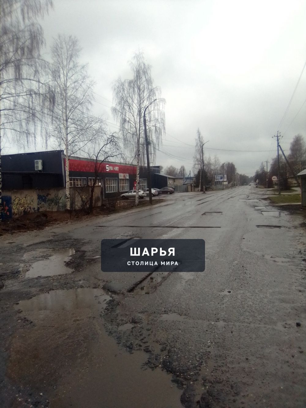 Публикация «Дорожные вредители» — Шарья — фото 9