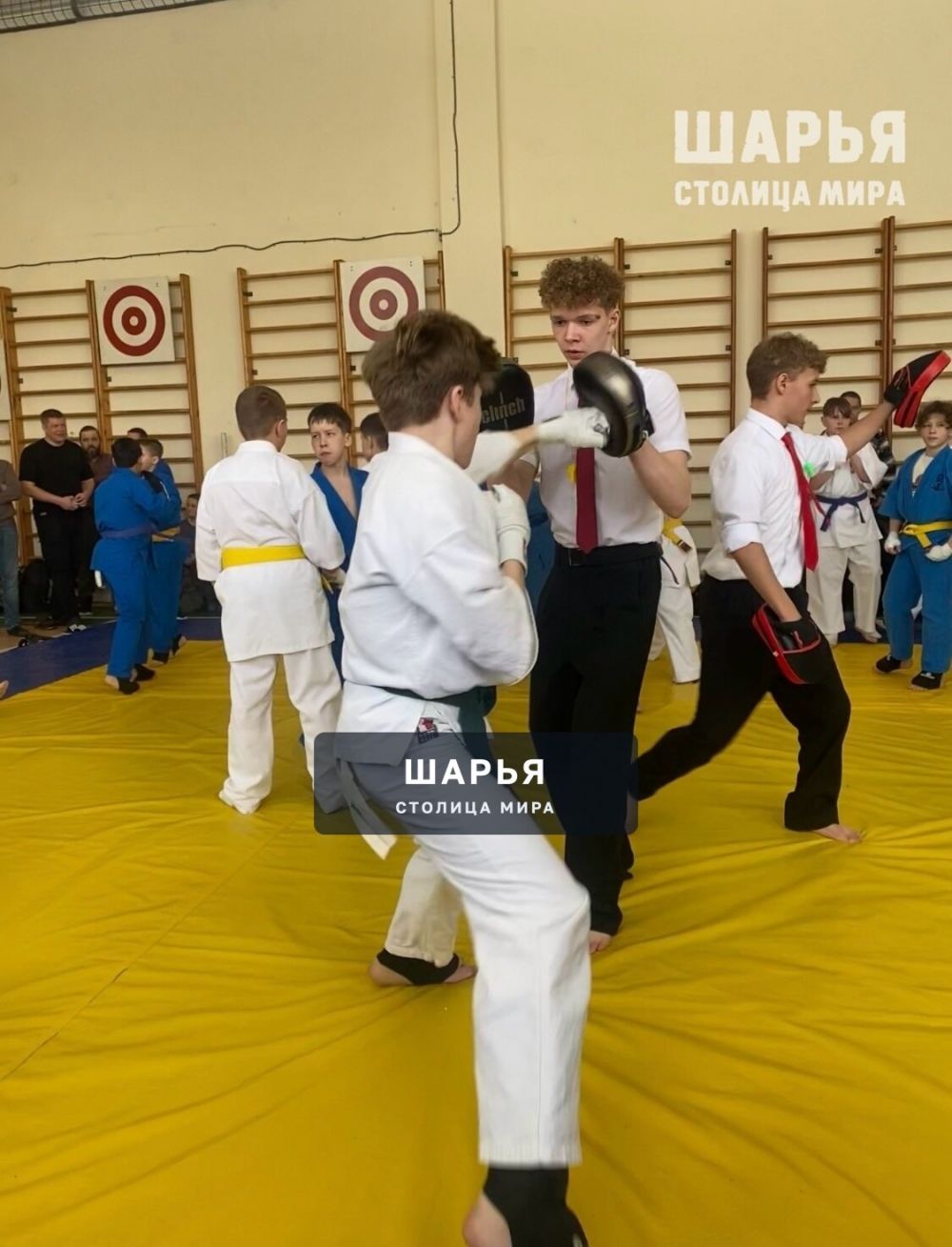 Шарьинские спартанцы вновь в числе сильнейших спортсменов региона — Шарья — фото 6