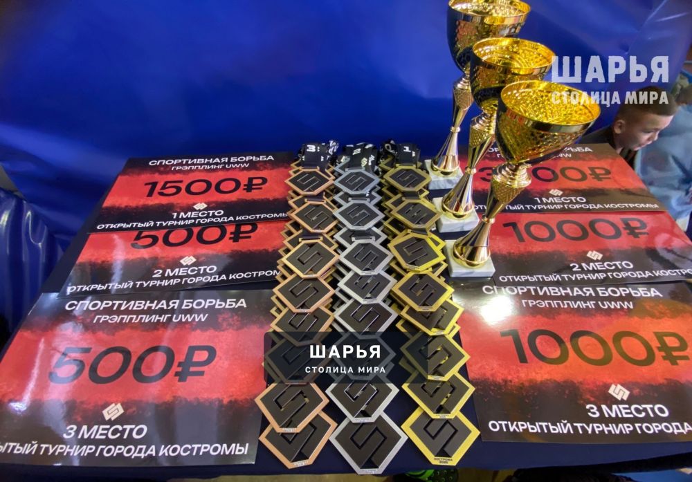 "Чертова" дюжина принесла шарьинскому спортклубу хорошую строчку в турнирной таблице — Шарья