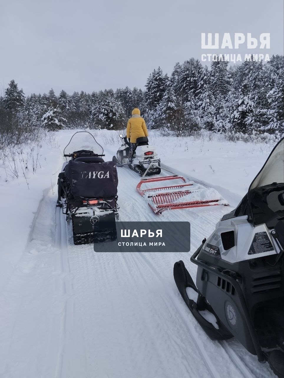 Спортивная школа олимпийского резерва Шарьи выражает благодарность Яковенко Владиславу, Попову… — Шарья