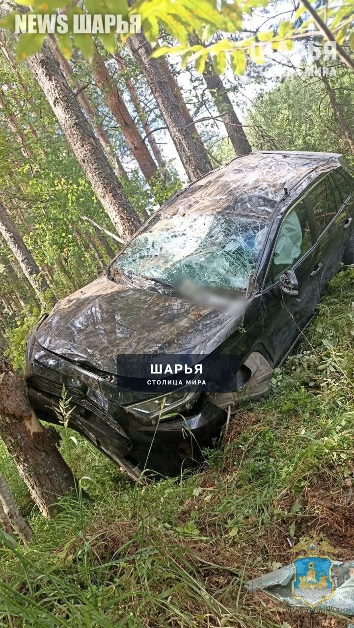 Виновнику массового ДТП, в результате которого погибло 4 человека, предъявлено обвинение — Шарья