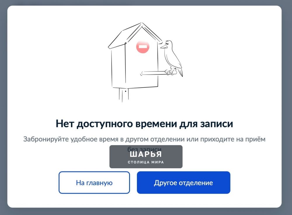 «Где жил ваш бывший муж в 4 года?»: как костромичи доказывают, что их дети - русские — Шарья — фото 2