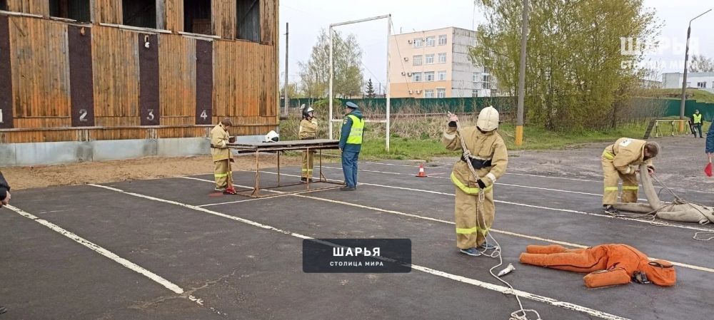 Школьники Шарьинского района - бронзовые призеры — Шарья — фото 3