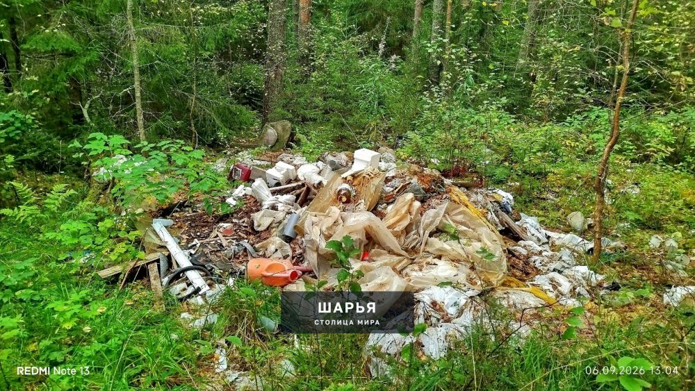 Очередная нычка от двуногих поросят была найдена в лесу — Шарья — фото 4
