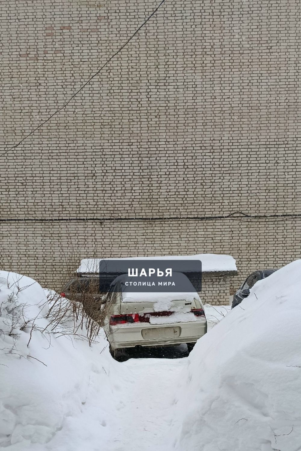 Анонимно, пожалуйста — Шарья