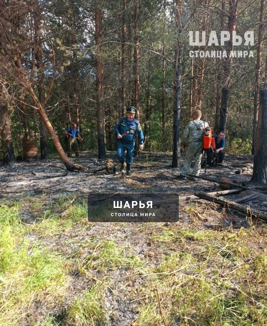 Оставленный рыбаками костер на берегу Ветлуги привел к лесному пожару — Шарья