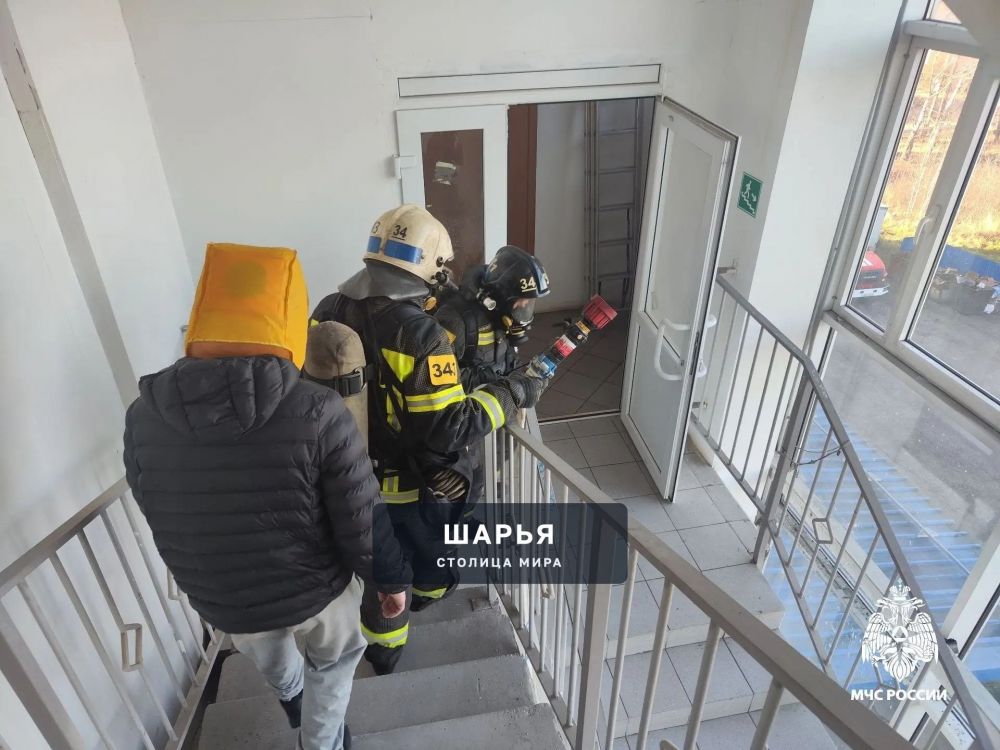 Шарьинские огнеборцы провели пожарно-тактические учения в местном ТЦ — Шарья — фото 3