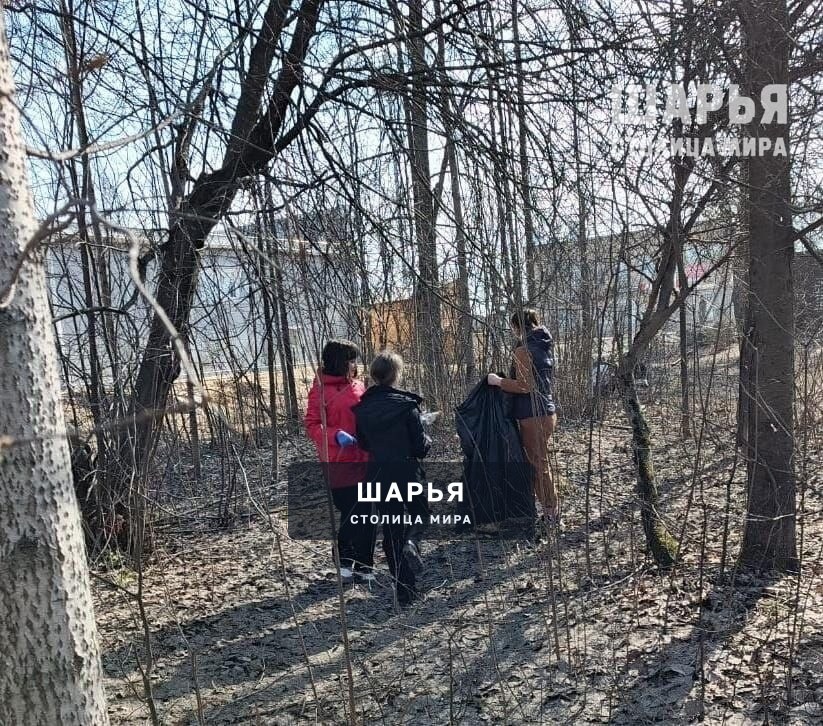 Весенний субботник объединяет шарьинцев — Шарья — фото 2