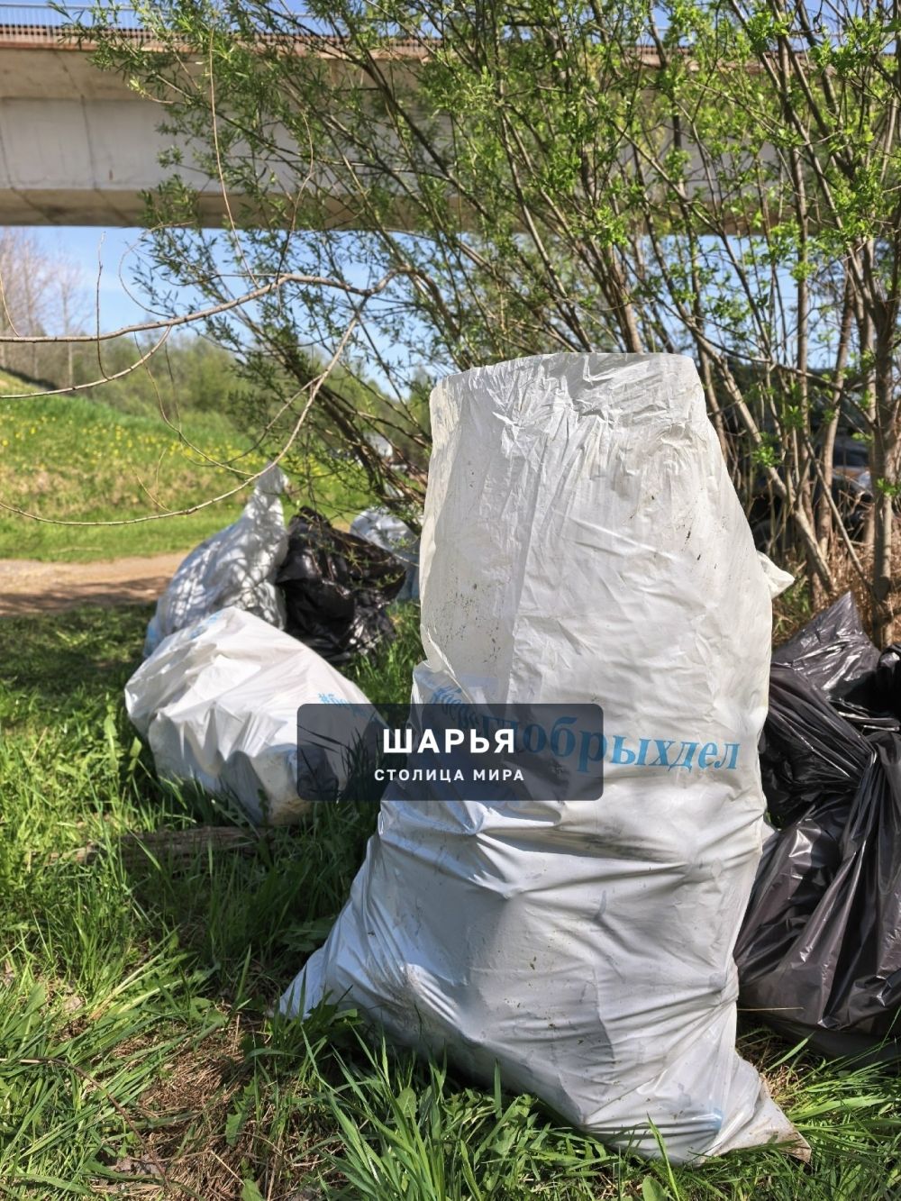 Почти три тонны мусора собрали волонтёры со дна и берегов костромских рек — Шарья — фото 3