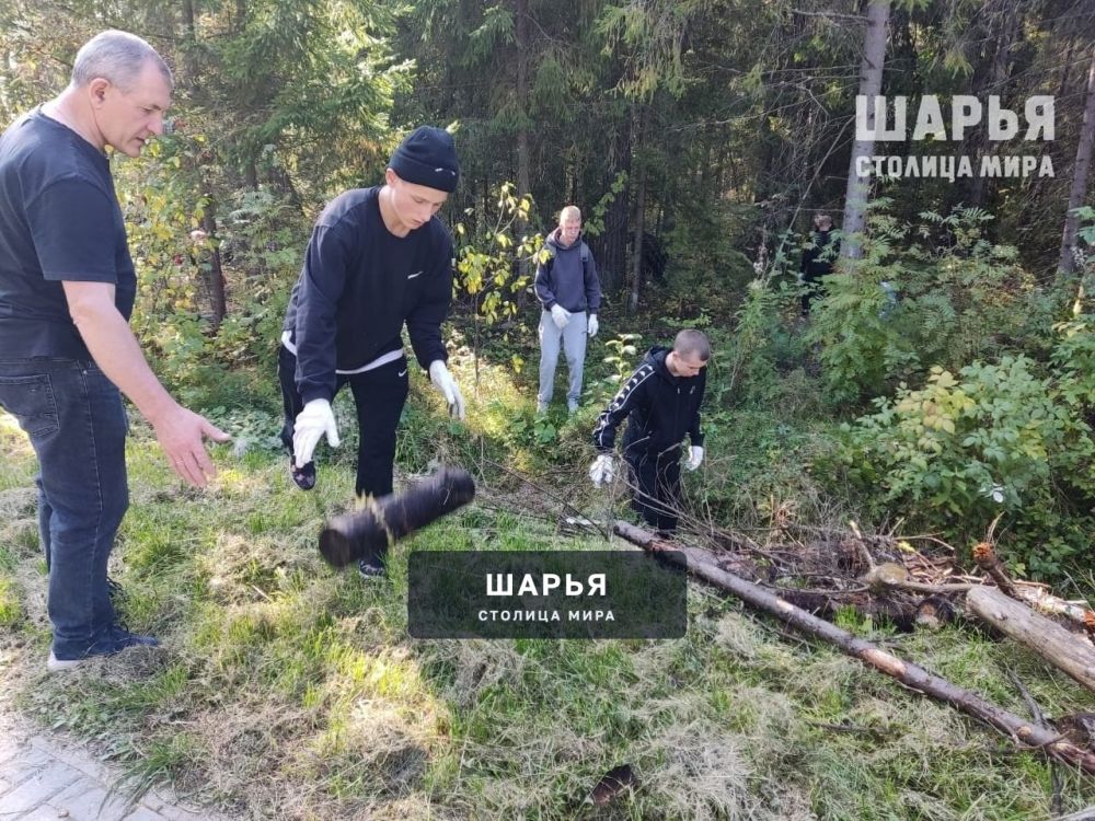 Субботник прошел в шарьинском Городском парке культуры и отдыха — Шарья — фото 7