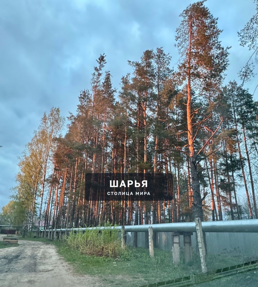 Ветлужский — Шарья