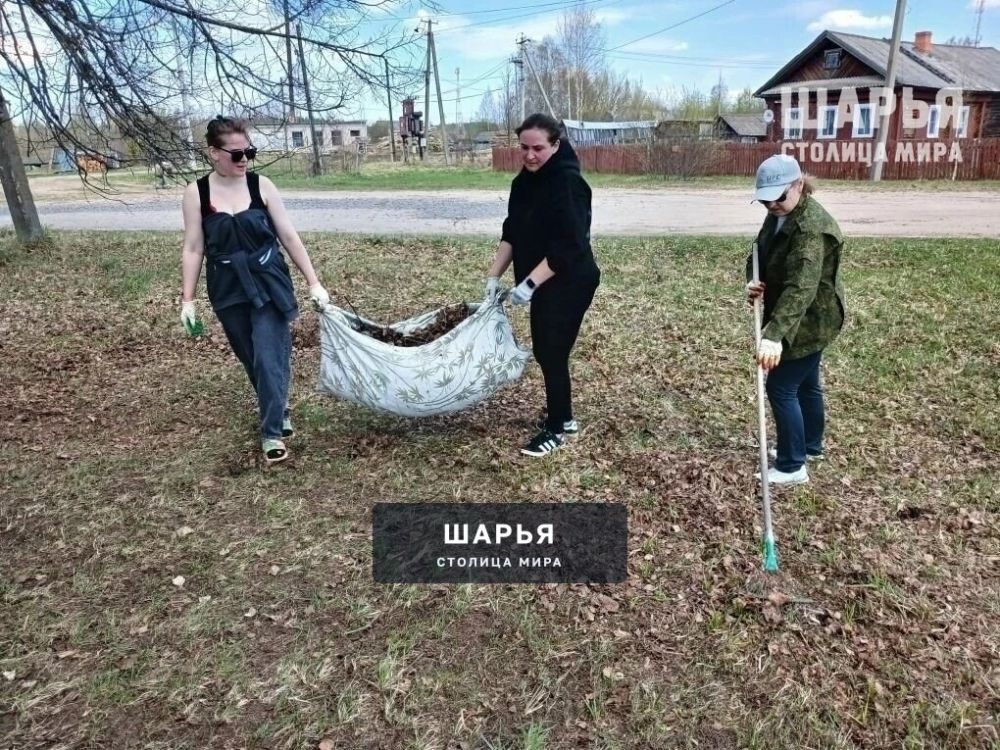 Районные работники культуры приняли участие в субботниках — Шарья — фото 2