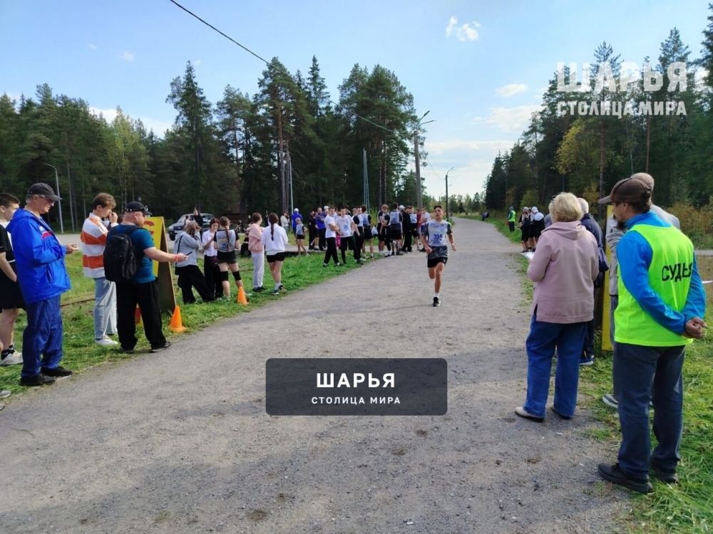 Школьники и студенты выявили самых быстрых — Шарья — фото 2