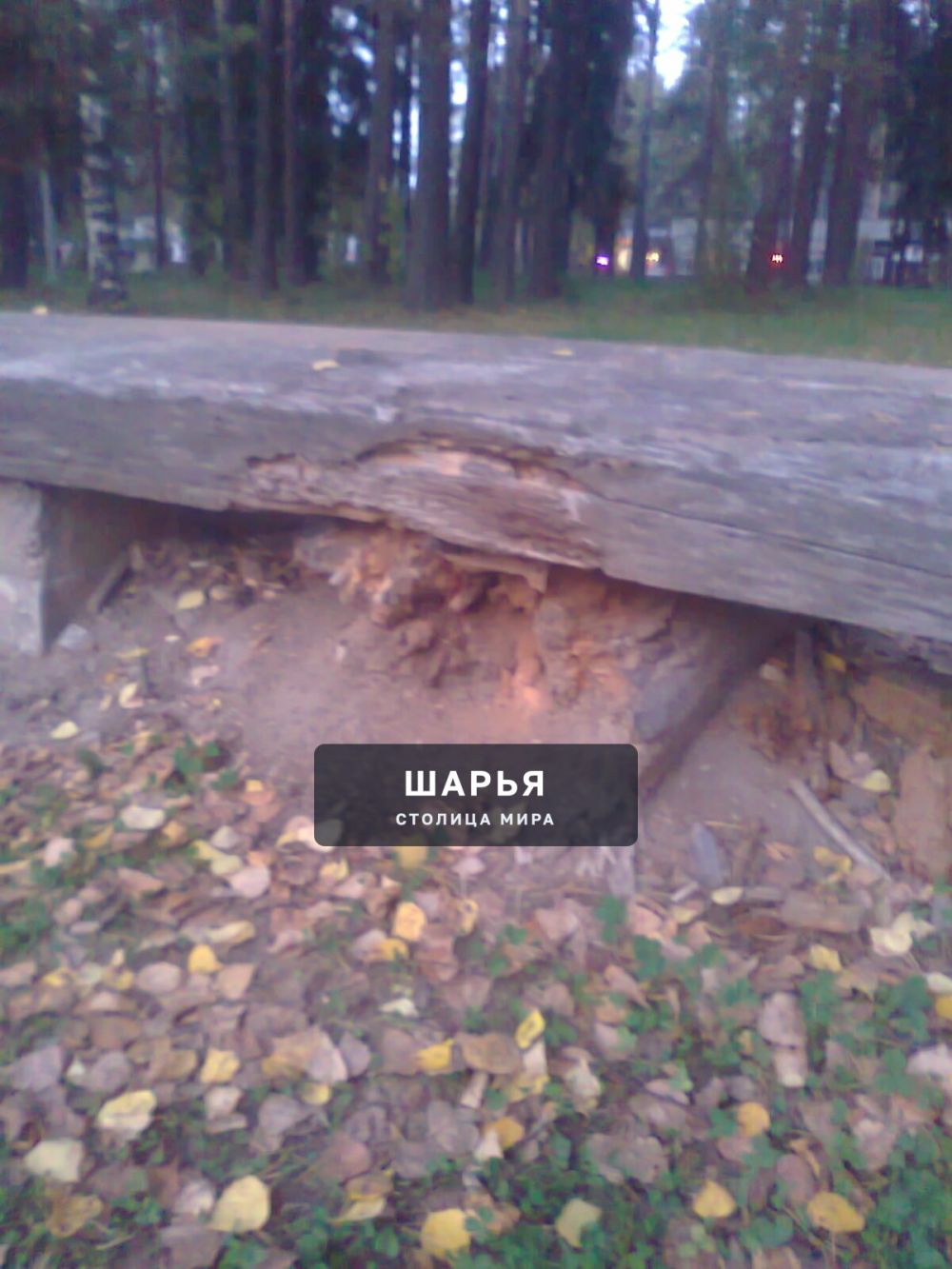 Публикация «Информационный стенд на перекрестке и старая лавочка в парке» — Шарья — фото 4