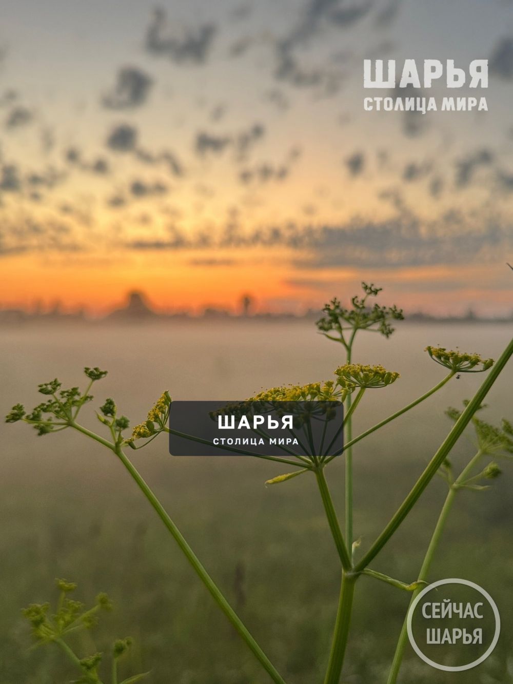Когда встречаешь закат и туман — Шарья — фото 2