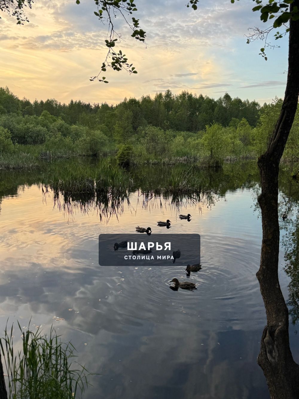 Тропа здоровья — Шарья — фото 3