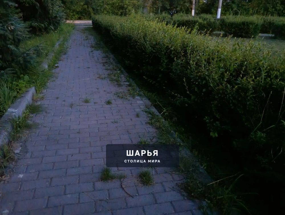 У людей и властей мнения расходятся — Шарья — фото 5