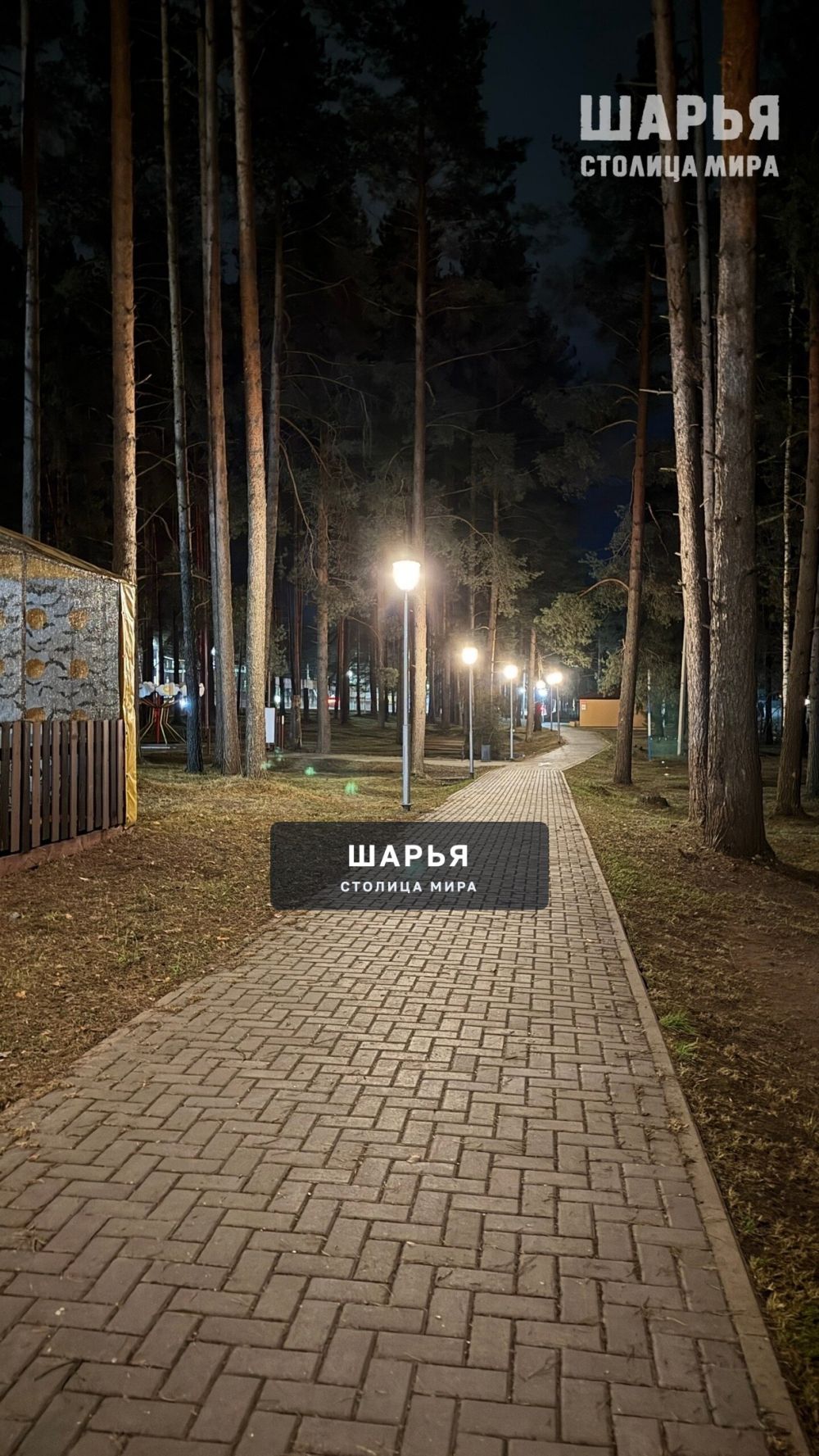 Присылайте фотографии города и окрестностей, ваши фотографии или красивые снимки нашей природы — Шарья — фото 4